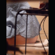 A hidden camera records a woman taking a piss and a soft-sounding shit while sitting on a toilet from a side view position. She wipes her ass thoroughly then cleans out the toilet bowl with a brush when done. 720P vertical HD format. Over 5 minutes.